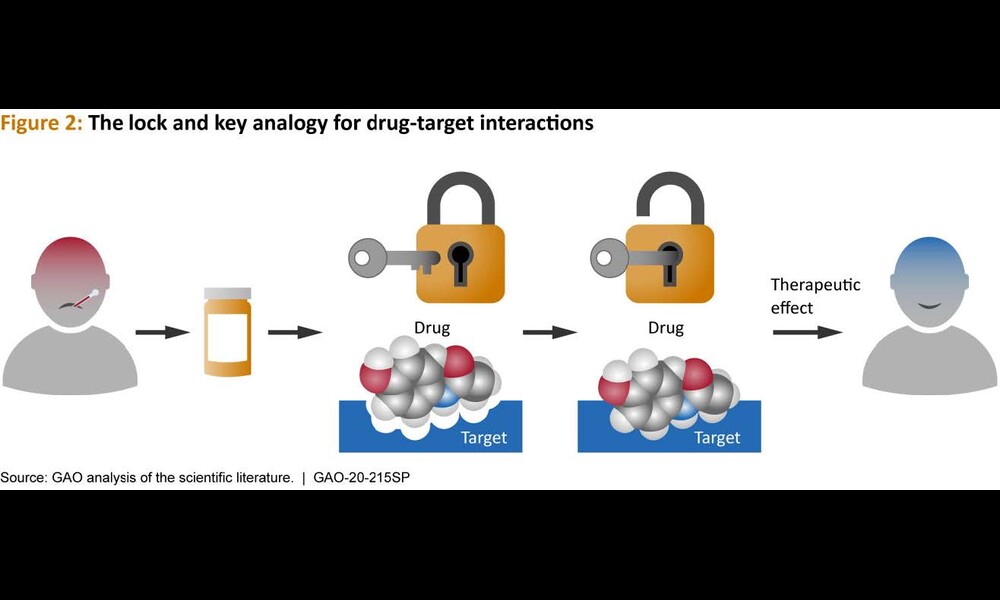 Figure 2: The lock and key analogy for drug-target interactions | U.S. Government Accountability Office on Flickr