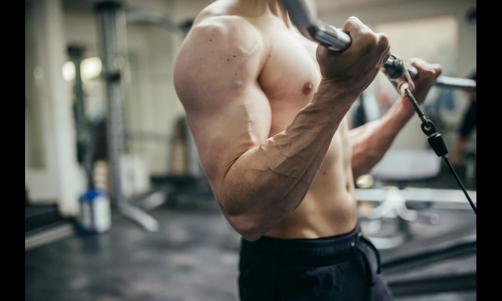 Young man in the gym doing bicep cable curls. Arms closeup. | Nenad Stojkovic on Flickr