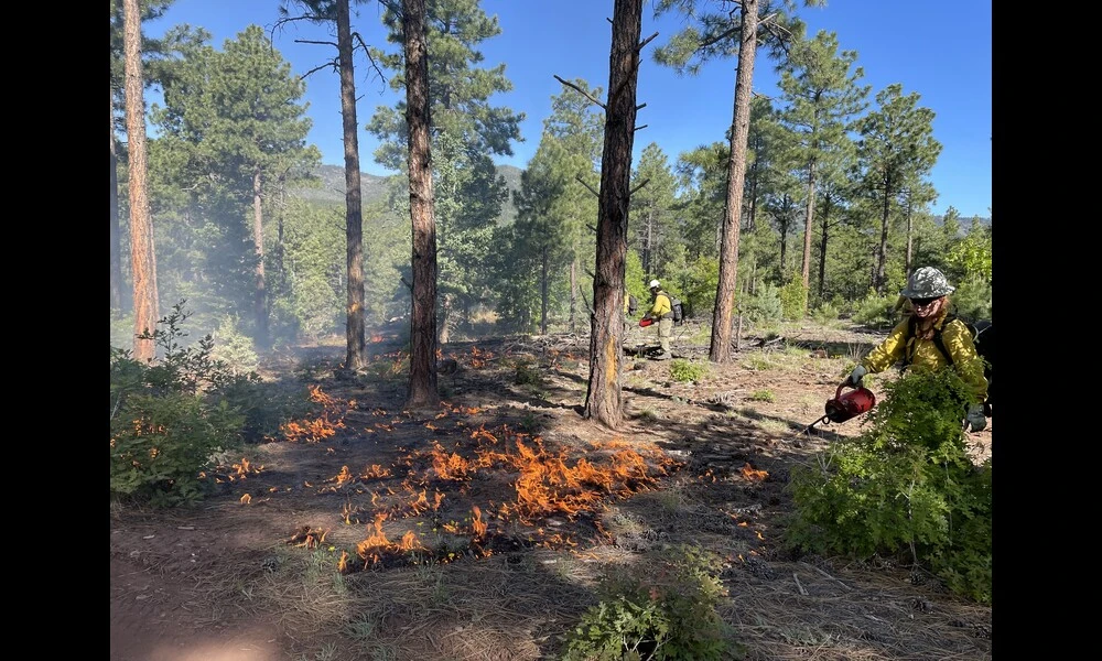 Chato Prescribed Fire Mountainair RD | Cibola National Forest and Grasslands on Flickr