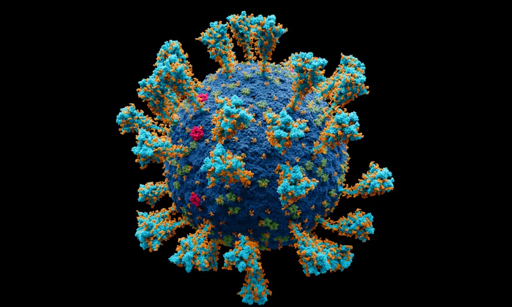 File:Coronavirus. SARS-CoV-2.png | Jul059 on Wikimedia